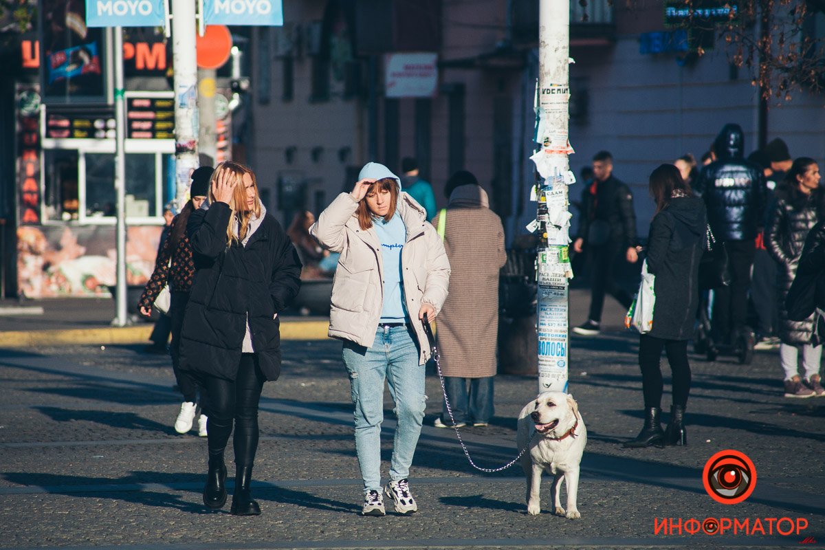 Что делать, если ты пес?