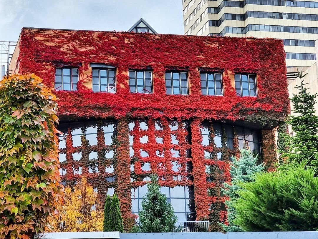 @lilia_dolgoli @lilia_dolgoli