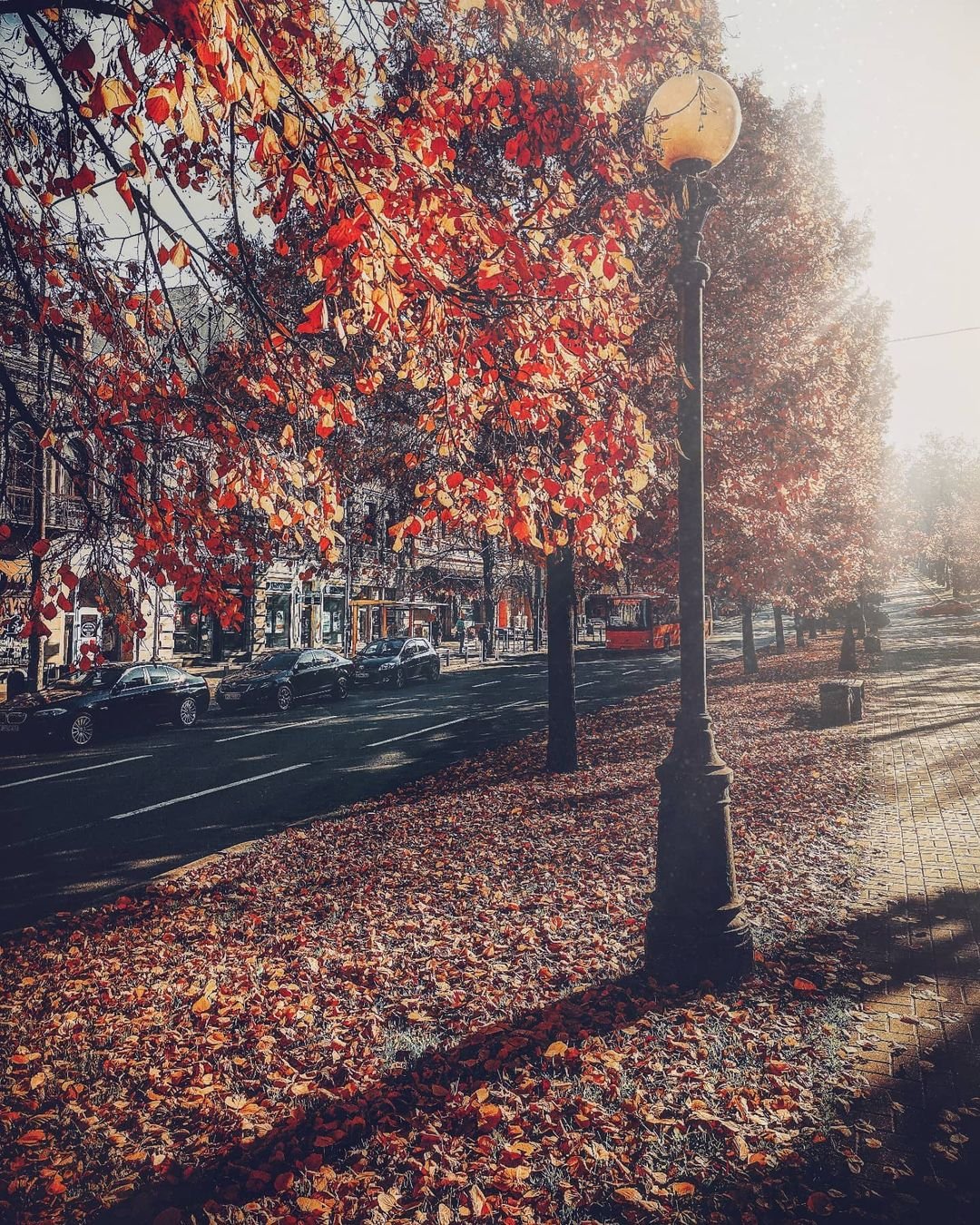 @golovko_andrew_ @golovko_andrew_