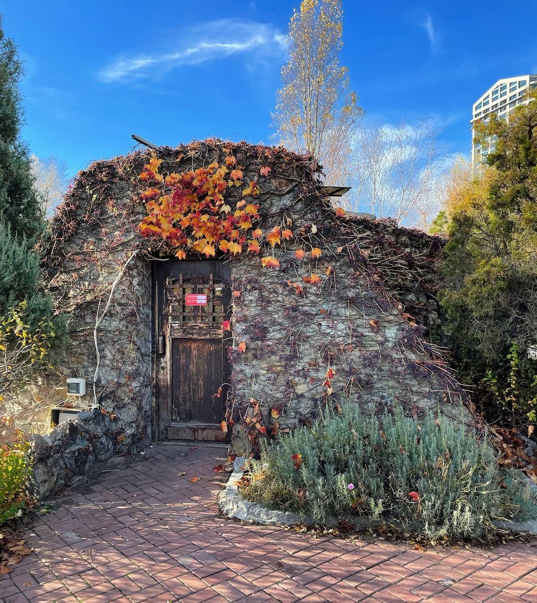 @spyrydonenkova @spyrydonenkova