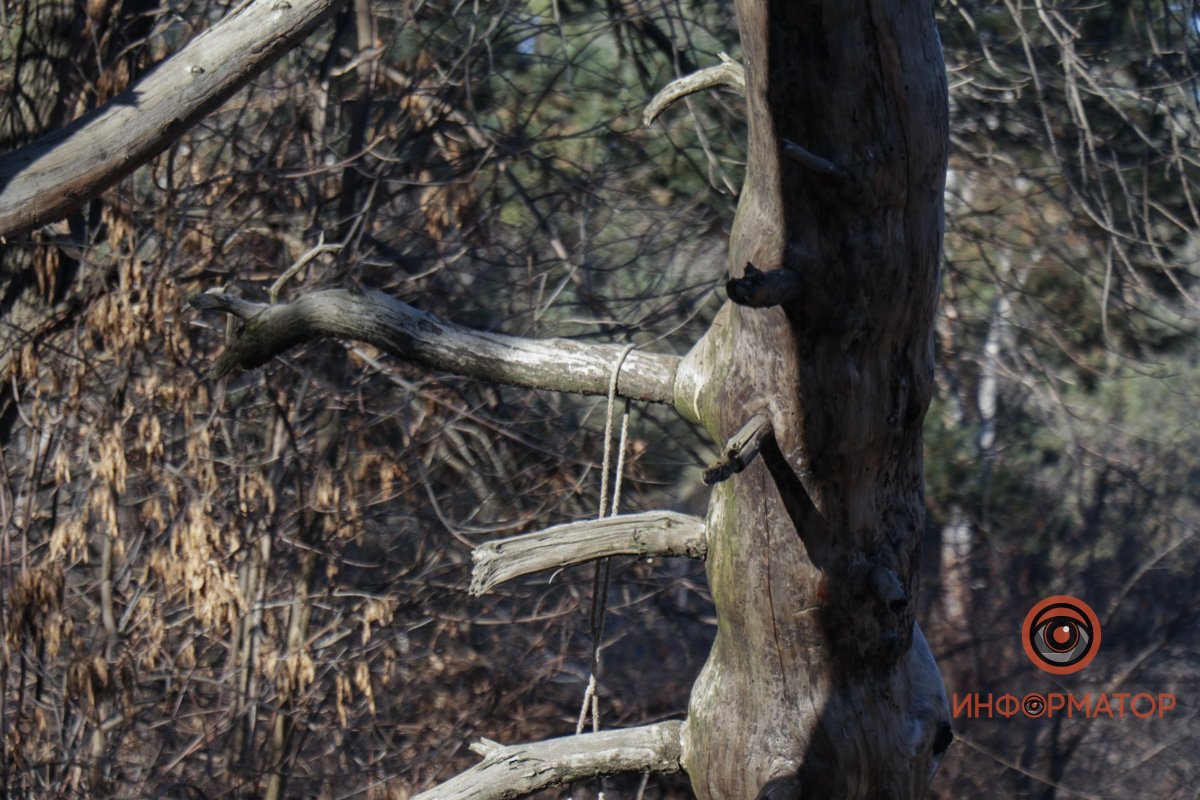 Мужчину обнаружили около 08:30