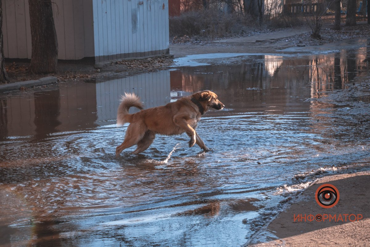 Хоть кто-то радуется Хоть кто-то радуется