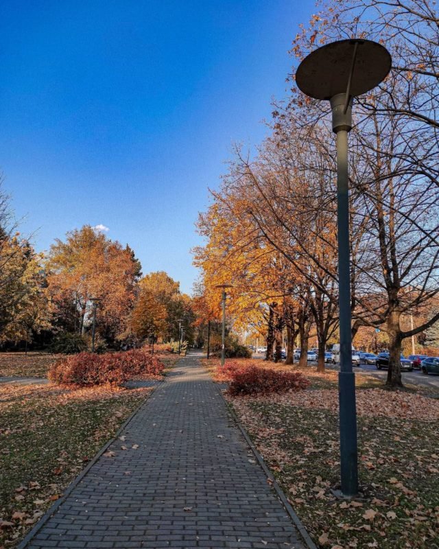 Если бы у Днепра был Instagram: топ красивых фотографий города 8
