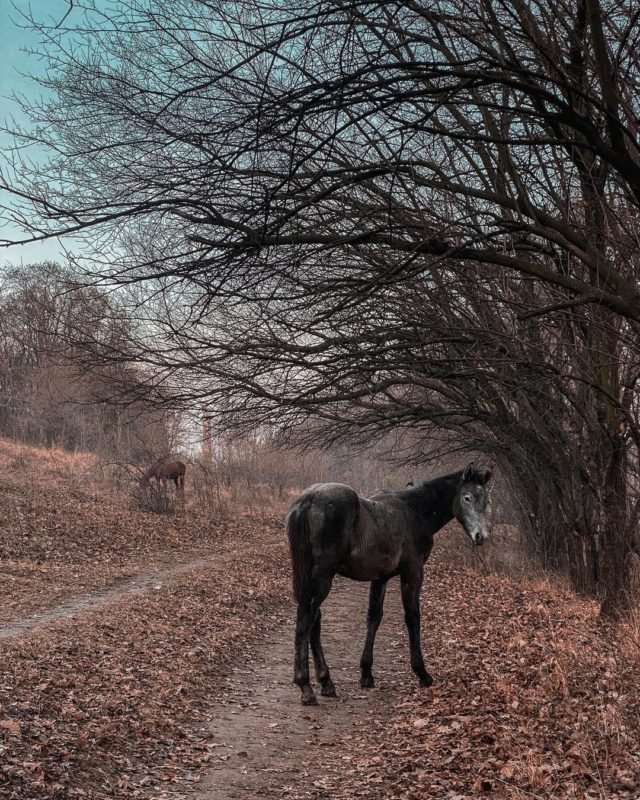 Если бы у Днепра был Instagram: топ красивых фотографий города 14