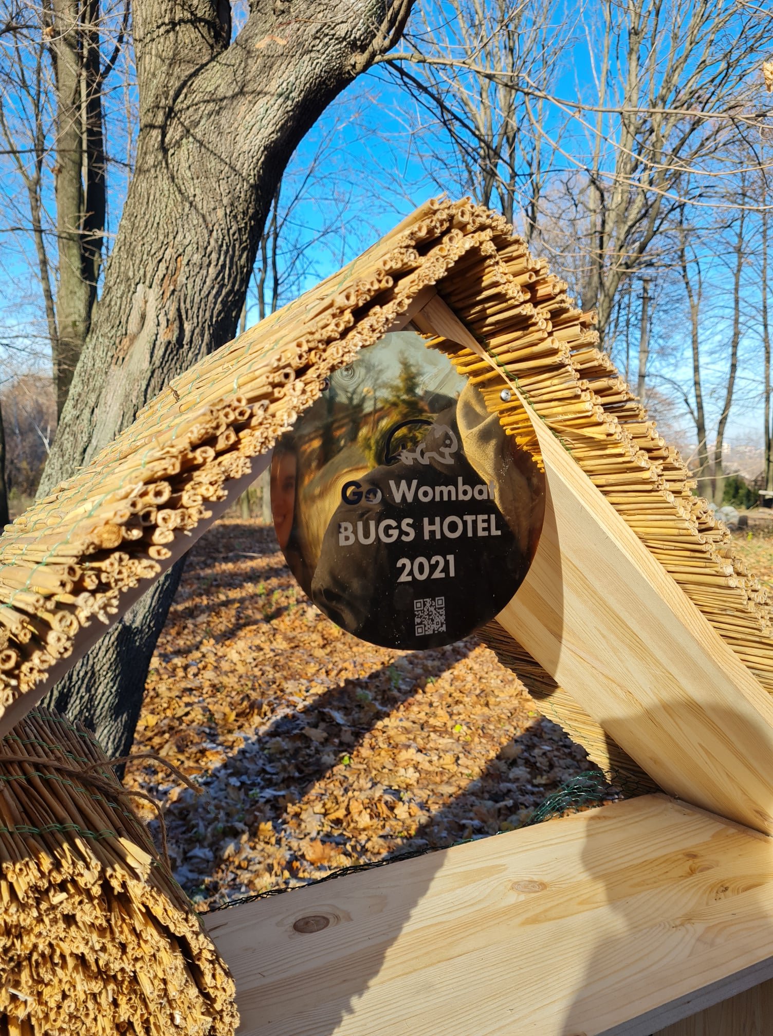 Это подарок IT-компании