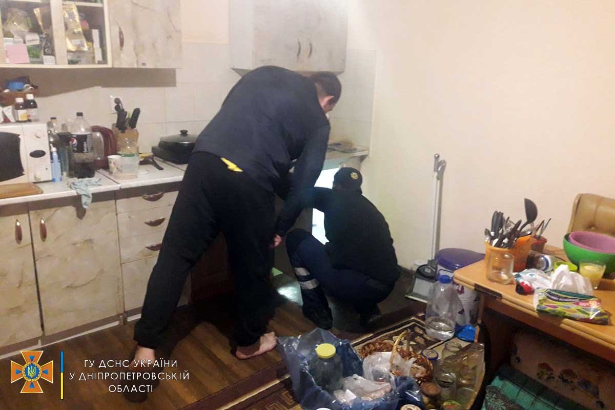 Гадюку выпустили за пределами города