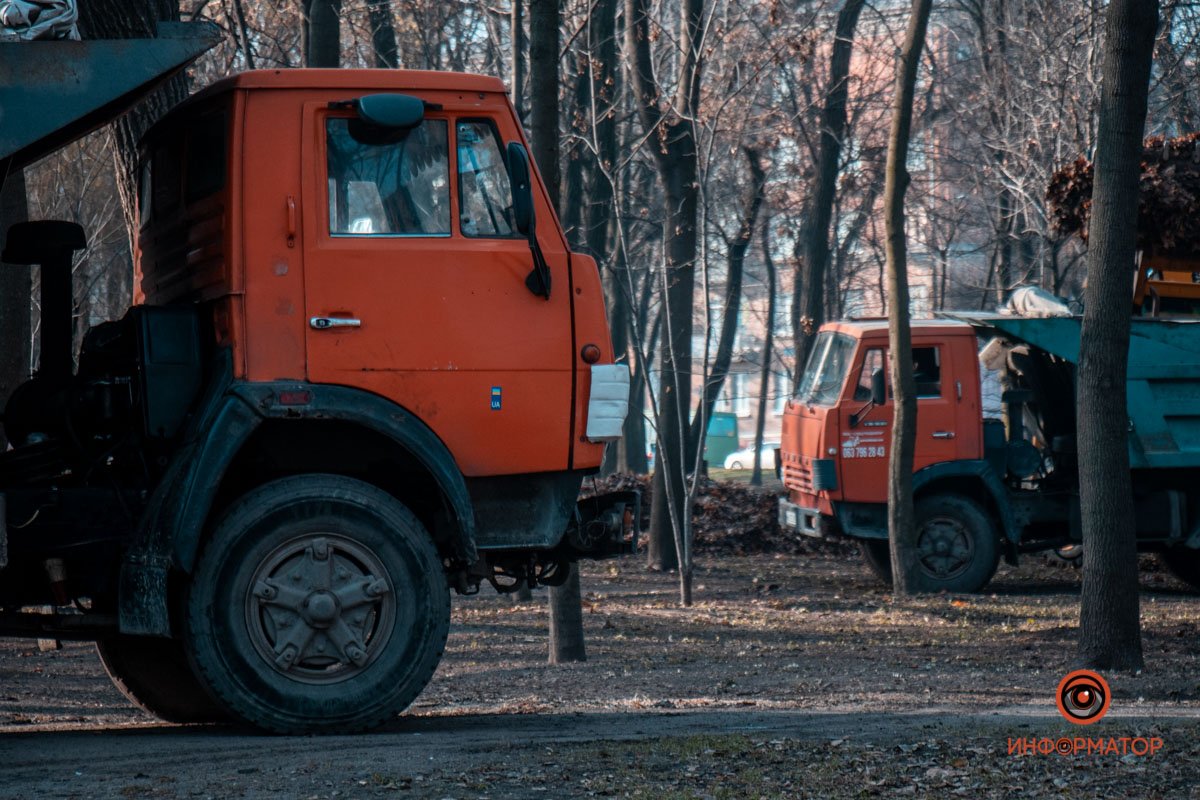 Останки обнаружили 25-го ноября, во время работ по уборке листвы