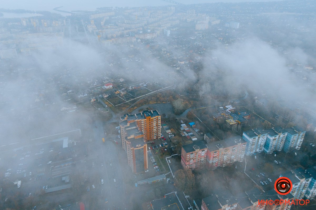 Чем выше, тем гуще Чем выше, тем гуще