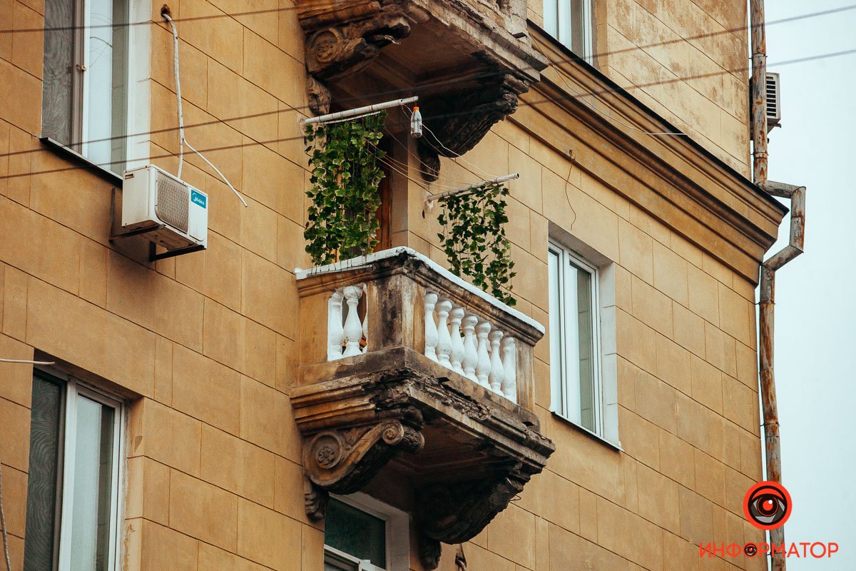 Уголок природы Уголок природы