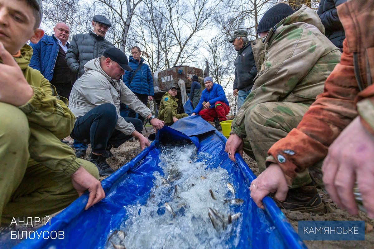 В Каменском провели очередное зарыбление левобережного канала 3