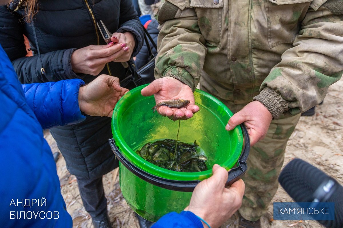 В Каменском провели очередное зарыбление левобережного канала 5