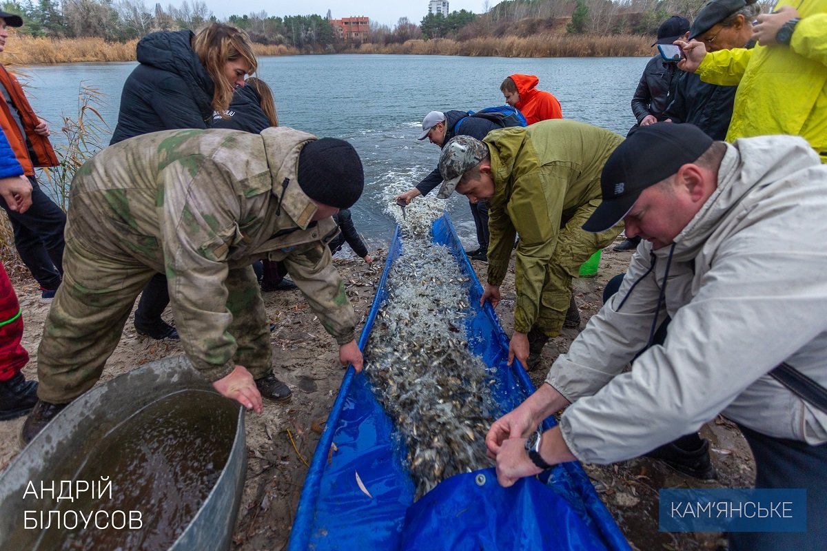 В Каменском провели очередное зарыбление левобережного канала 6
