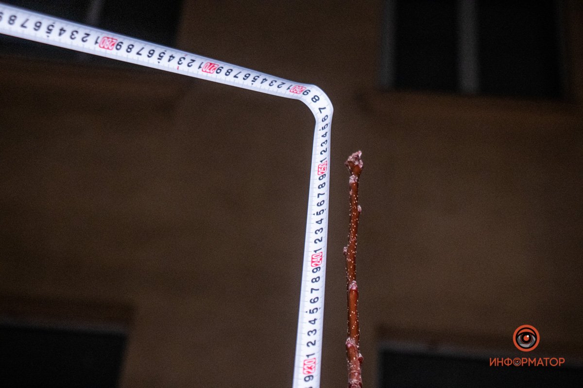 Кроха совсем Кроха совсем