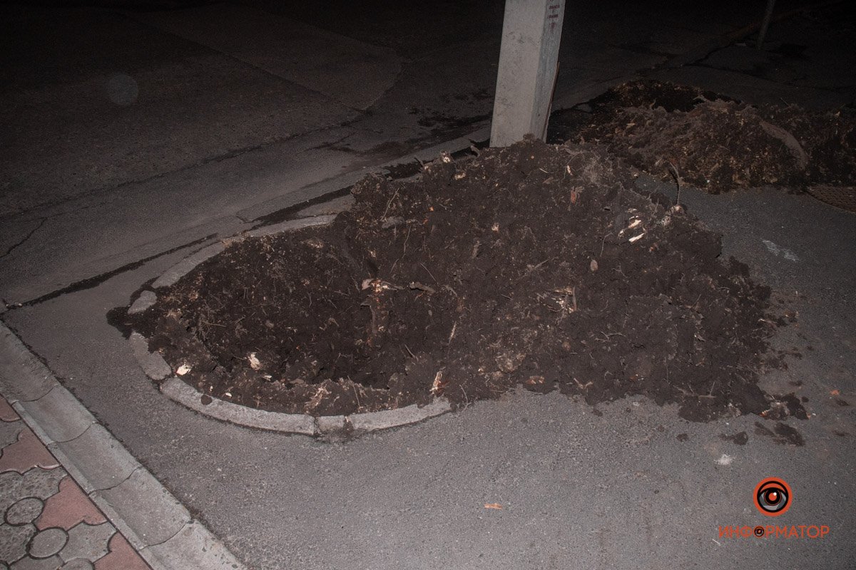 Что посадят там- пока неизвестно Что посадят там- пока неизвестно