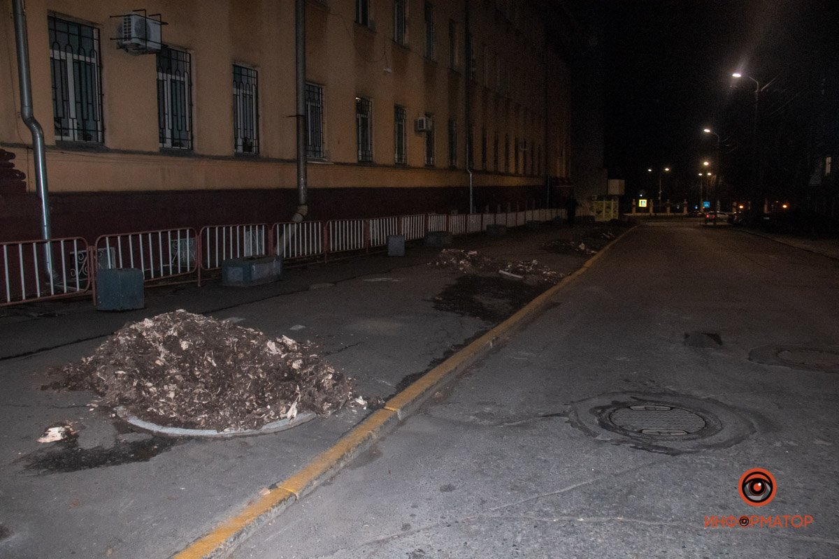 в КП «Зеленстрой» сказали, что 80% выкорчеванных деревьев уже отжили свой строк в КП «Зеленстрой» сказали, что 80% выкорчеванных деревьев уже отжили свой строк