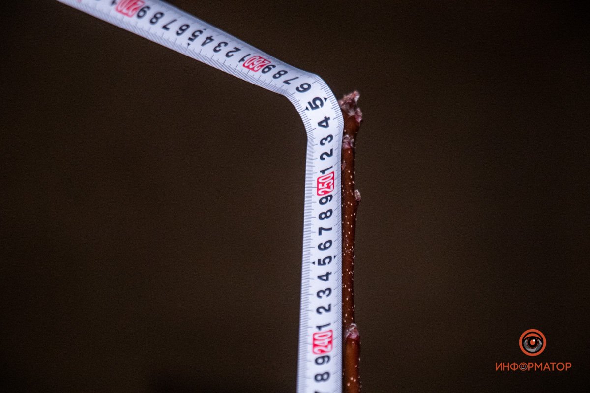 Расти большой Расти большой