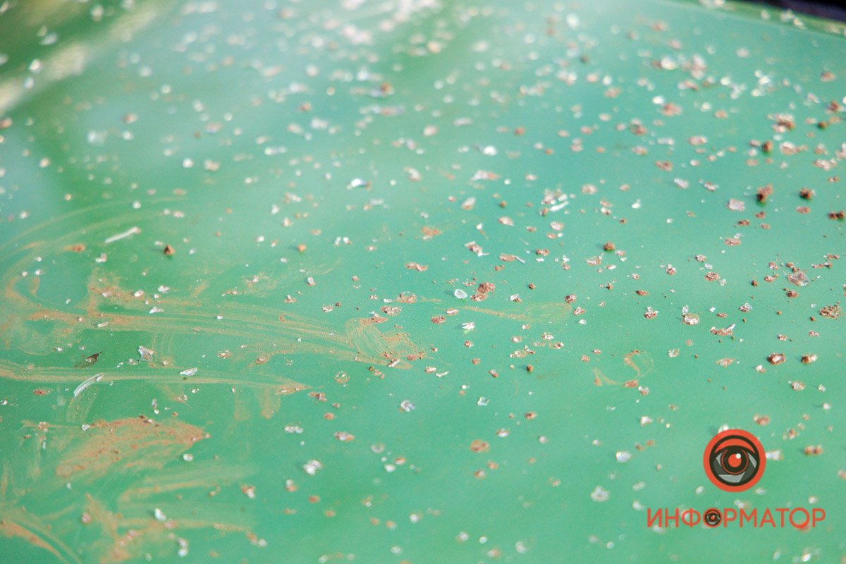 Осколки лобового стекла Осколки лобового стекла