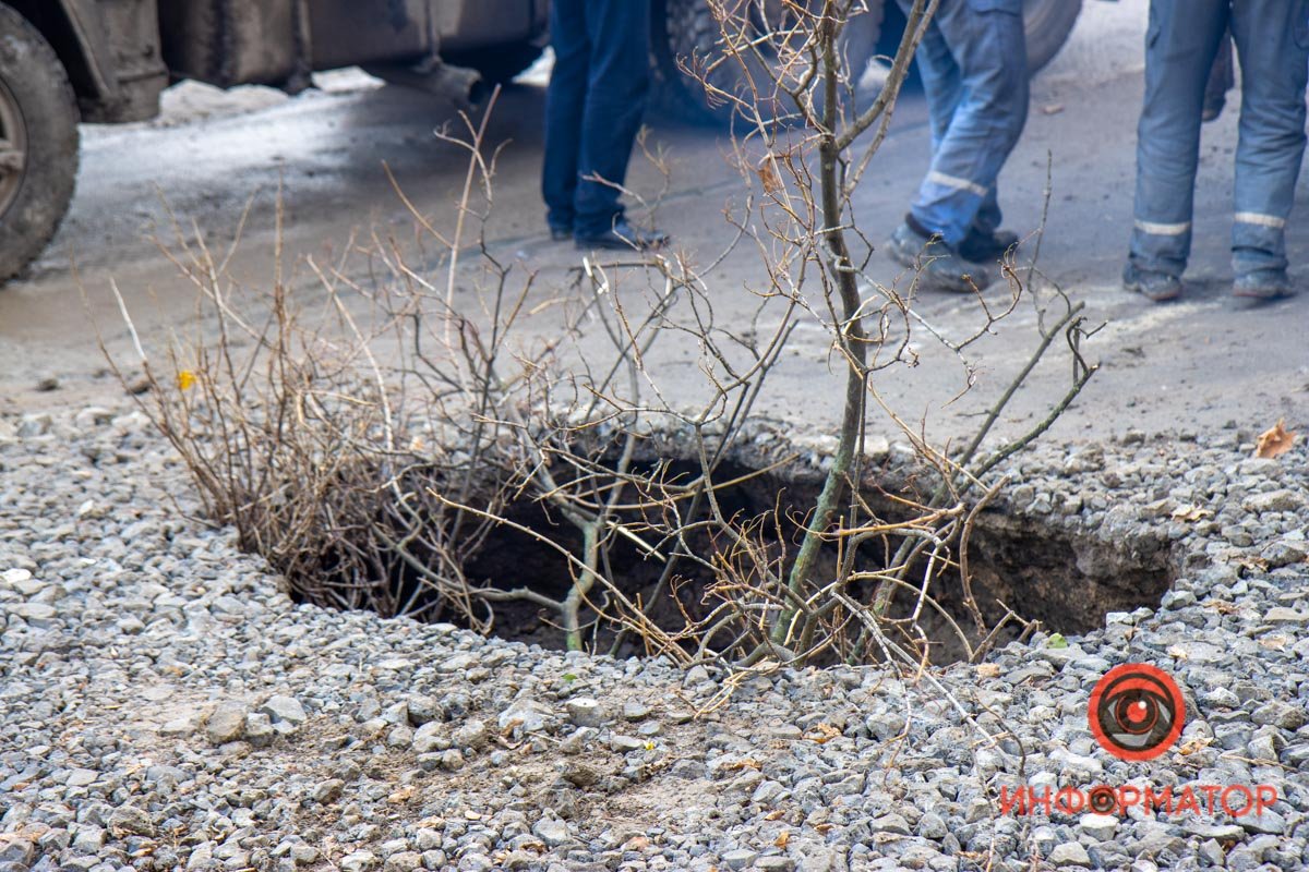 Из ям растут деревья... Из ям растут деревья...