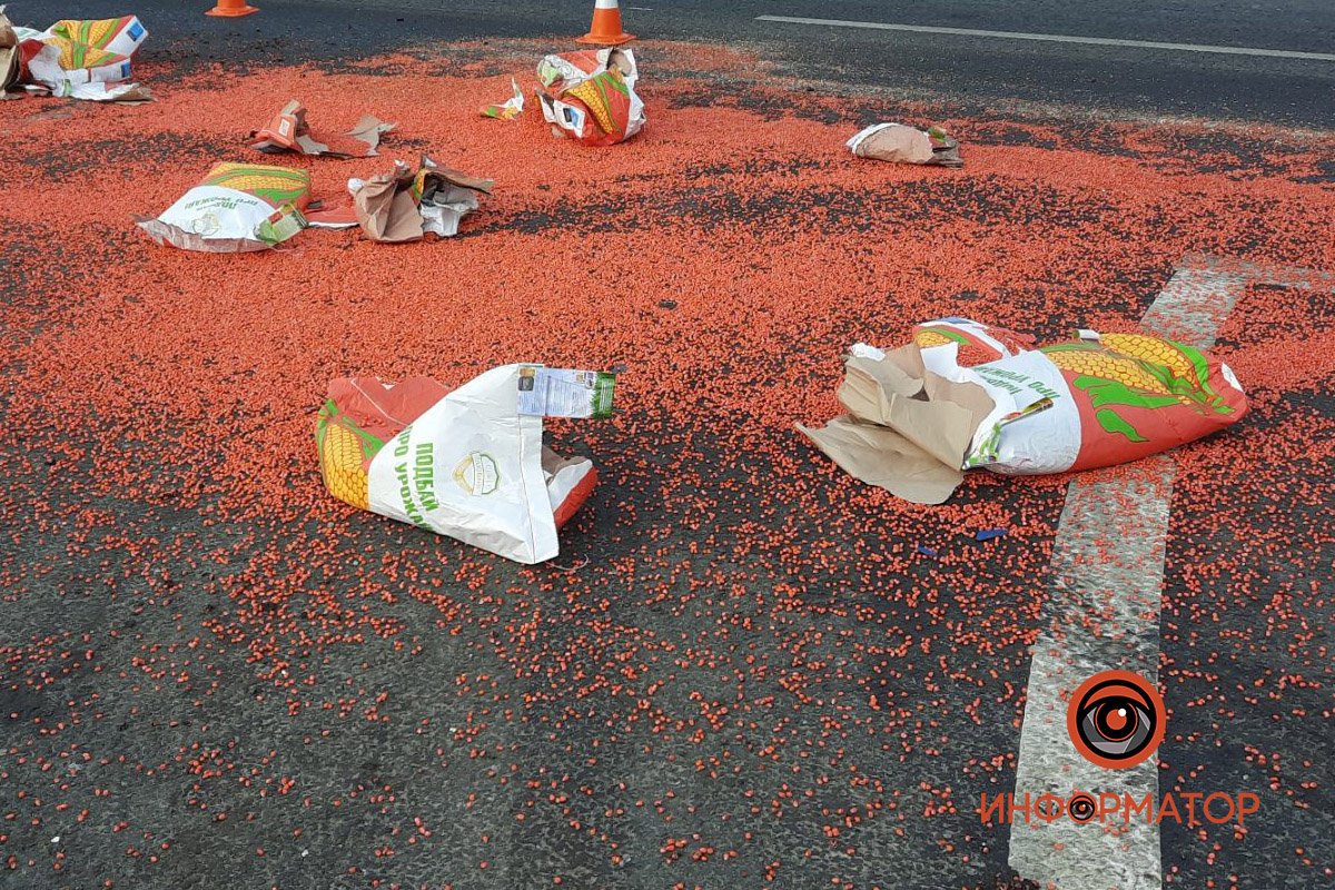 Вчера яйца, сегодня зерно: в Днепропетровской области на трассе столкнулись Kia и ВАЗ, по дороге рассыпалась кукуруза 3