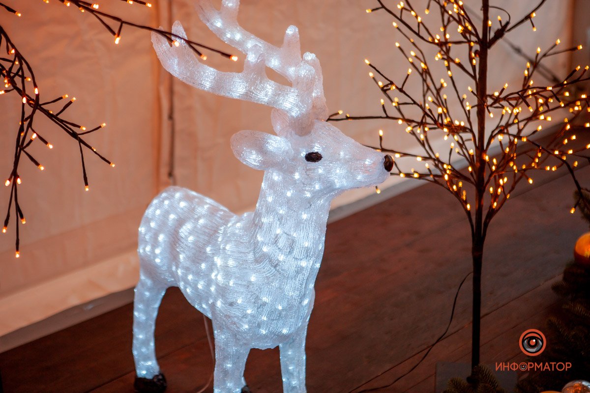 Фото: Антон Гордиенко