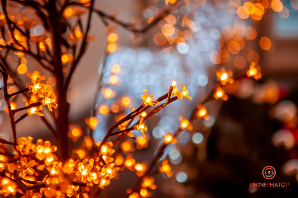 Фото: Антон Гордиенко