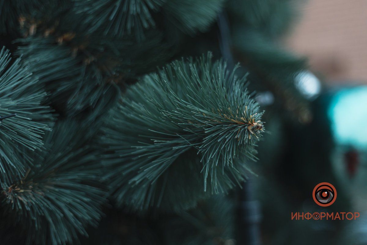 В Днепре возле "Вавилона" поставили новогоднюю елку 8