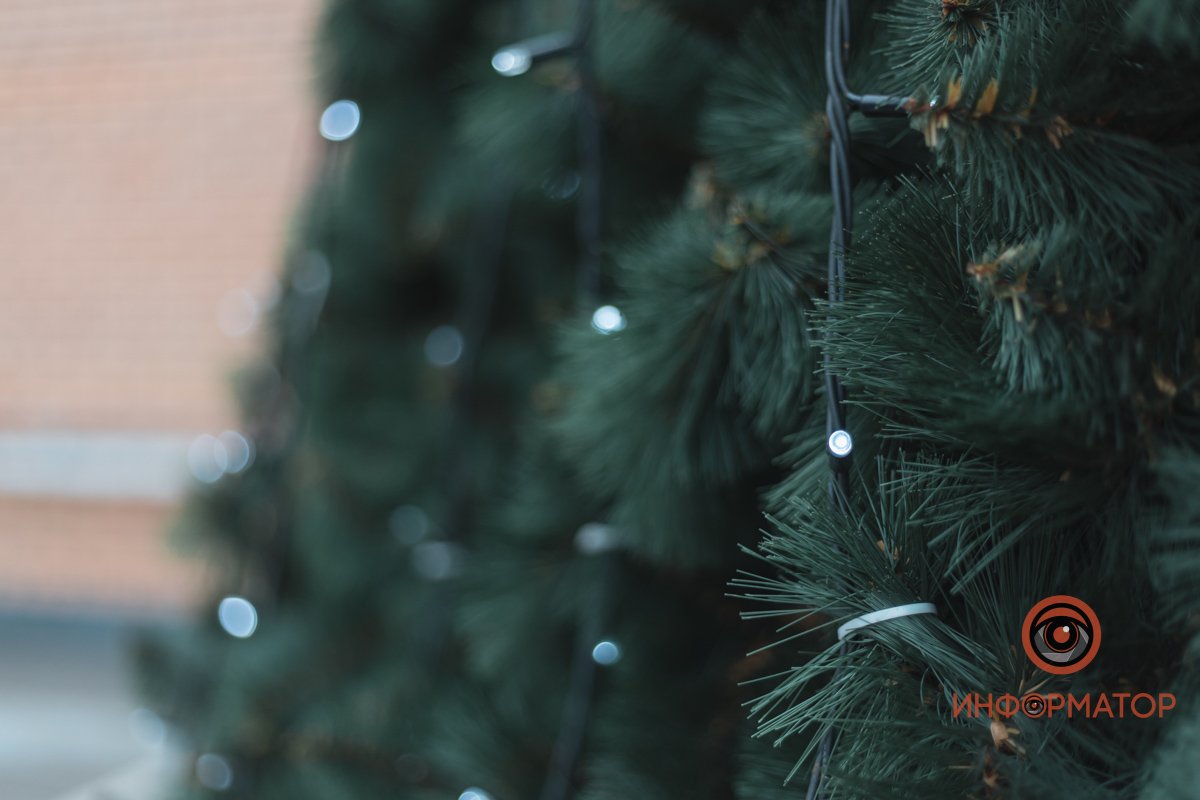 В Днепре возле "Вавилона" поставили новогоднюю елку 9
