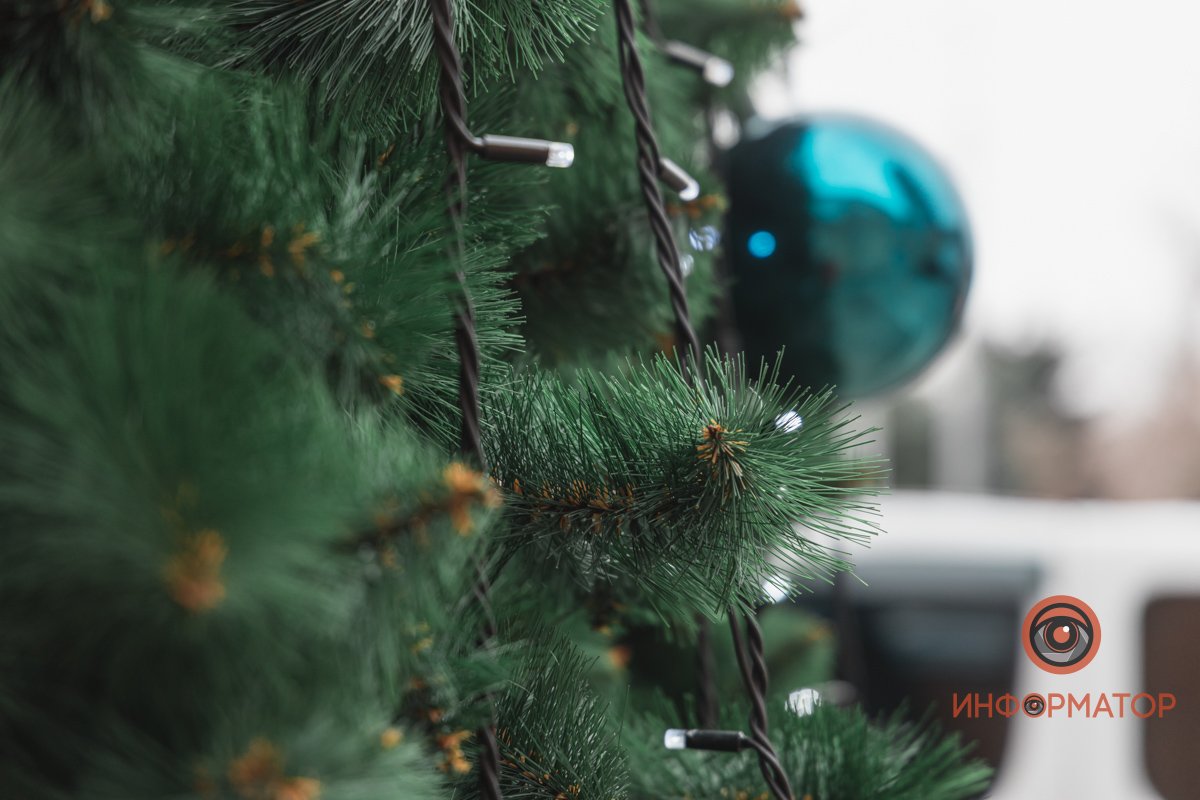 В Днепре возле "Вавилона" поставили новогоднюю елку 15