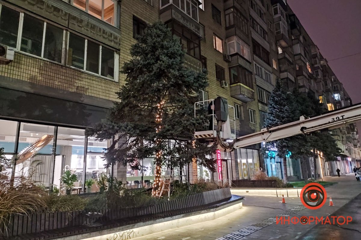 Живая елка – главный символ Нового года и Рождества