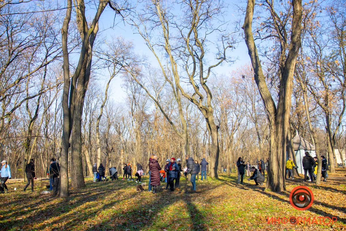 В Днепре в парке Гагарина посадили сад из райских яблонь В Днепре в парке Гагарина посадили сад из райских яблонь