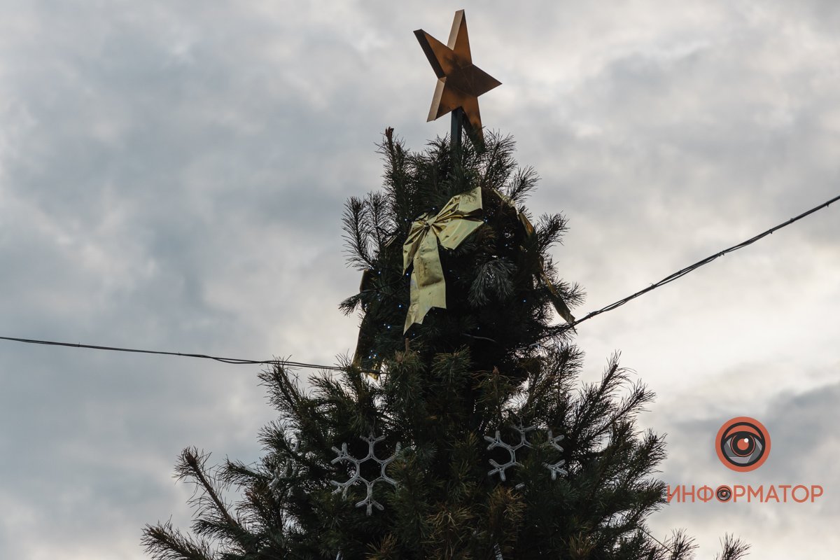 В Днепре возле "Озерки" поставили елку 10