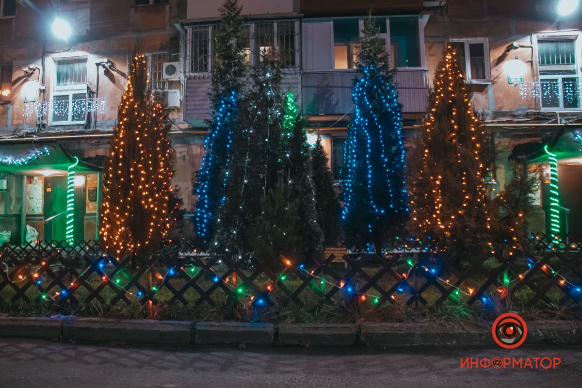 Одни хвойные Одни хвойные