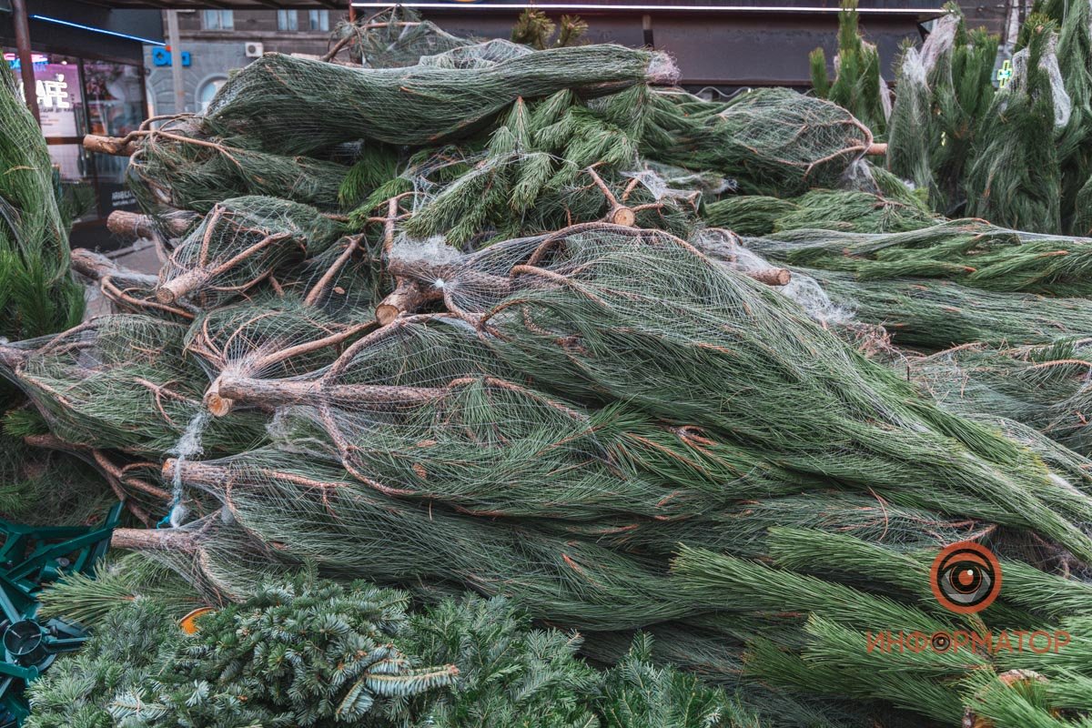 Замечены на Нагорке Замечены на Нагорке