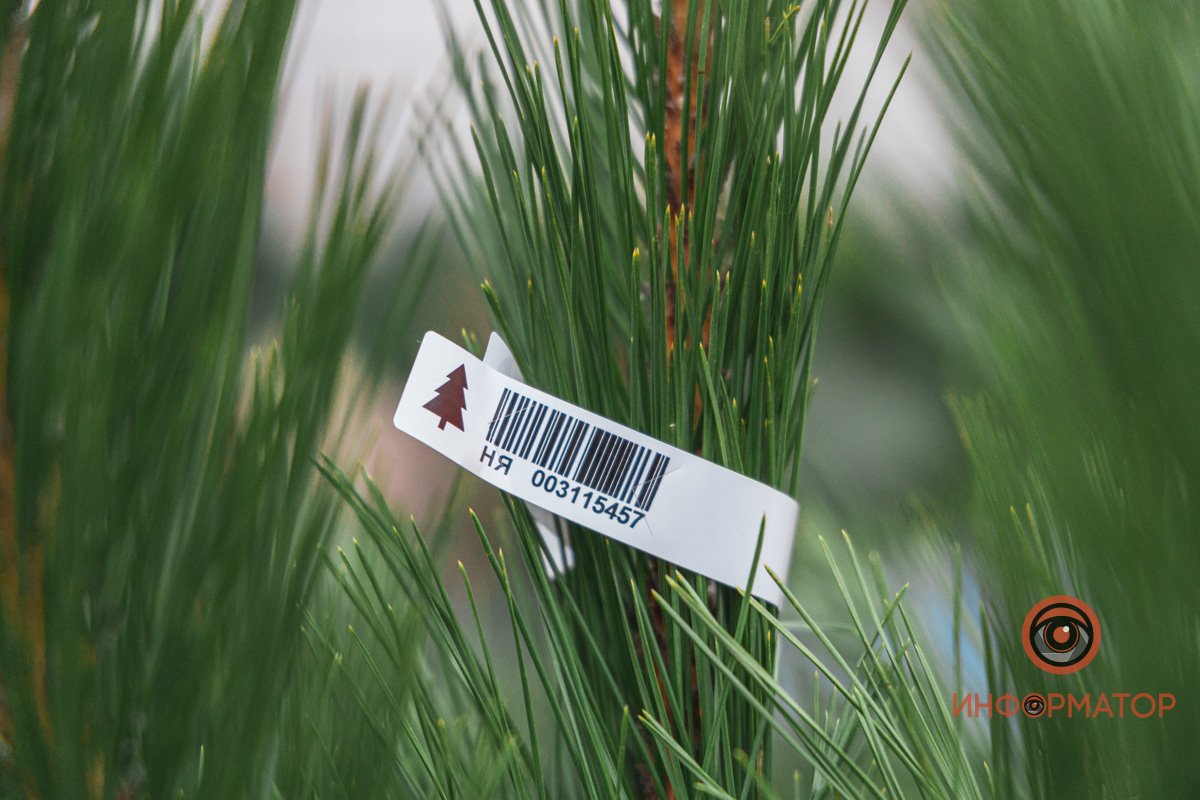 Все деревья с чипами Все деревья с чипами