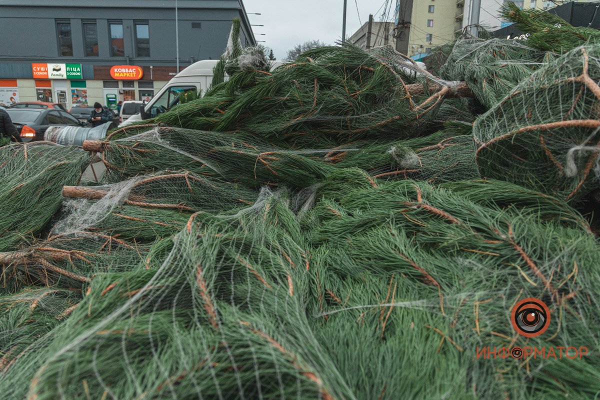 Выбирайте на вкус и цвет Выбирайте на вкус и цвет