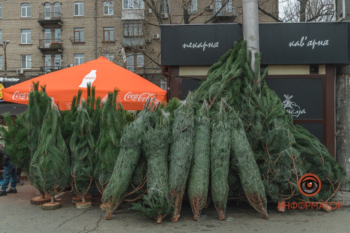 Кругляки из дерева вместо подставки Кругляки из дерева вместо подставки