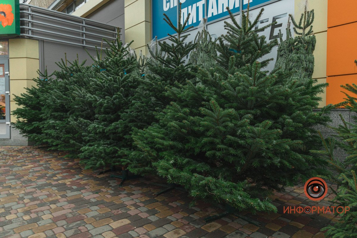 Все, как на подбор Все, как на подбор