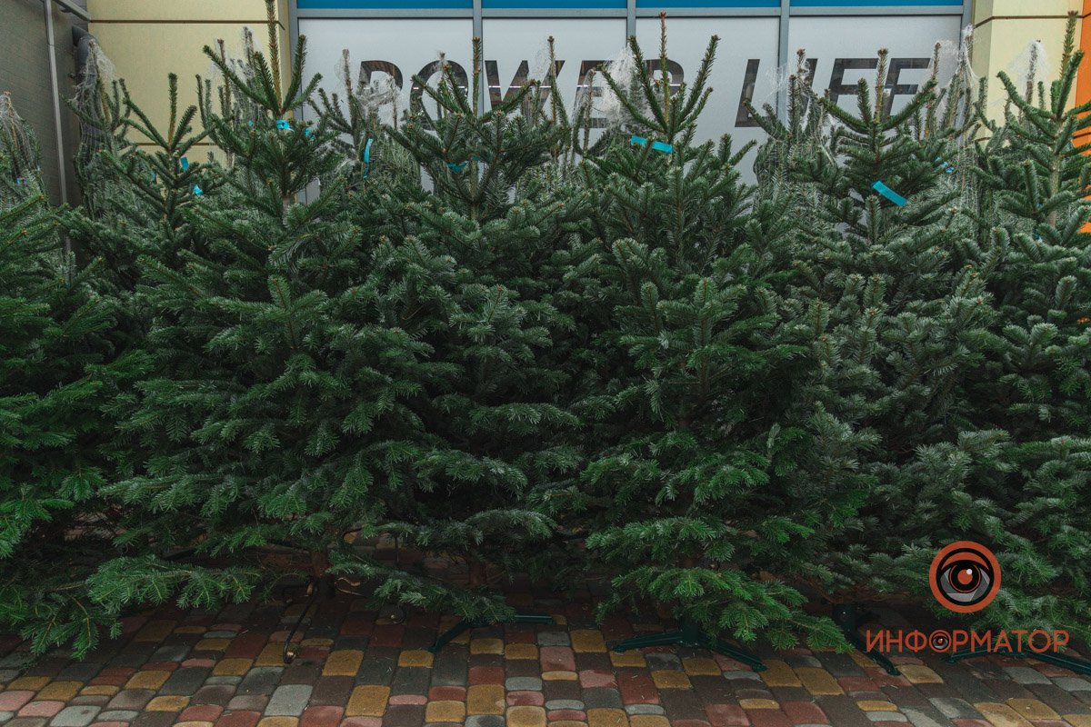 Уже ждете Новый год? Уже ждете Новый год?