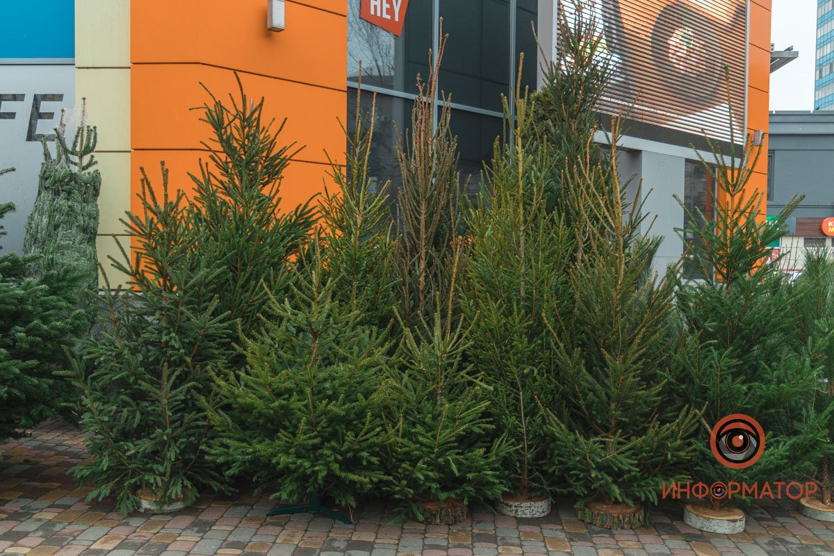 В них тоже, что-то есть В них тоже, что-то есть