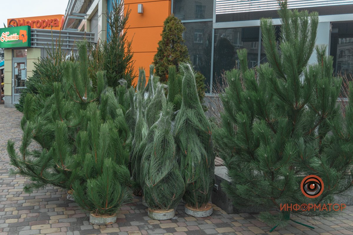 Уже ждут своих покупателей Уже ждут своих покупателей