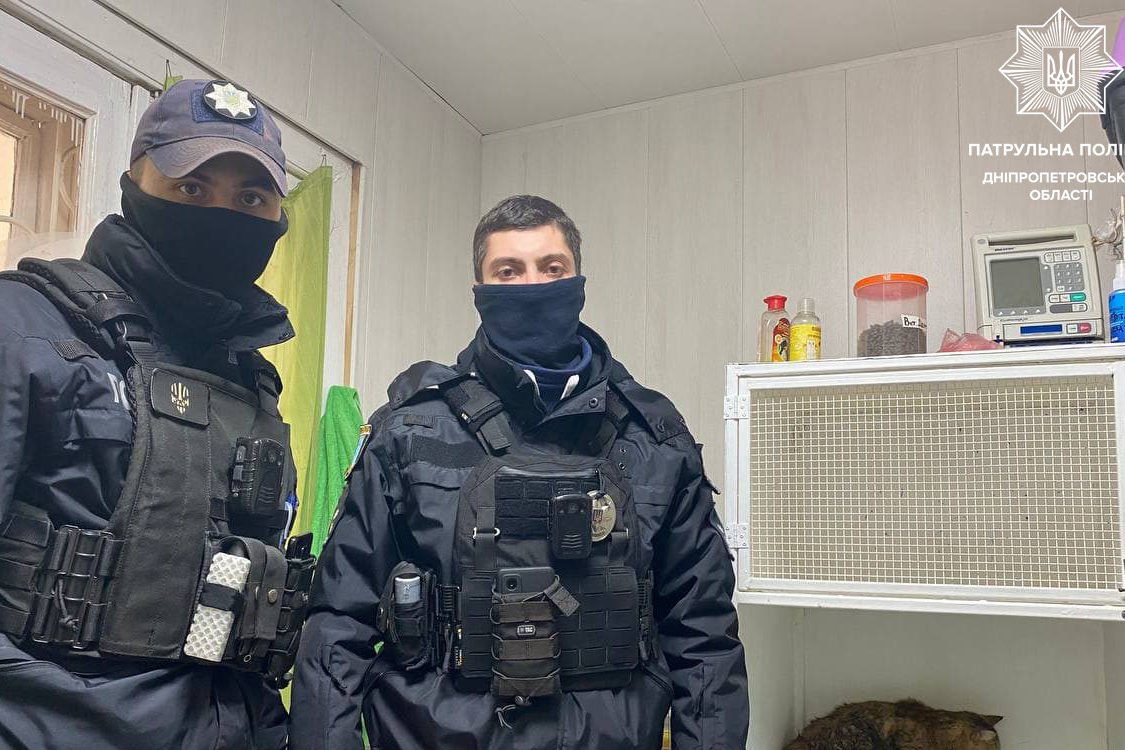 Кошку спасло небезразличие патрульных 3-го батальона