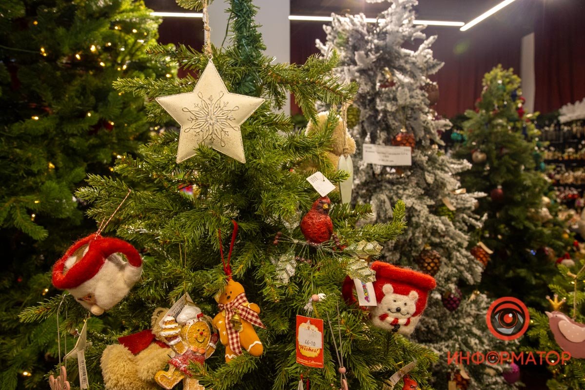 Где в Днепре открылась резиденция Деда Мороза 2