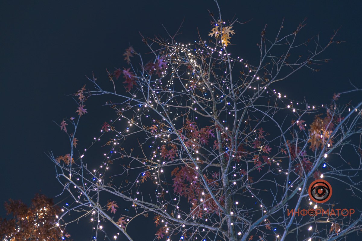 Не забывайте смотреть вверх!