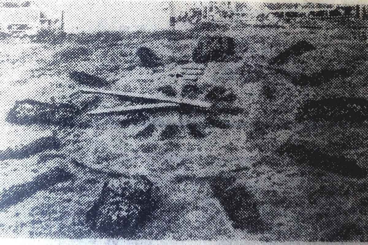 Архивное фото забытых цветочных часов в парке Шеченко ("Днепр Вечерний") Архивное фото забытых цветочных часов в парке Шеченко ("Днепр Вечерний")