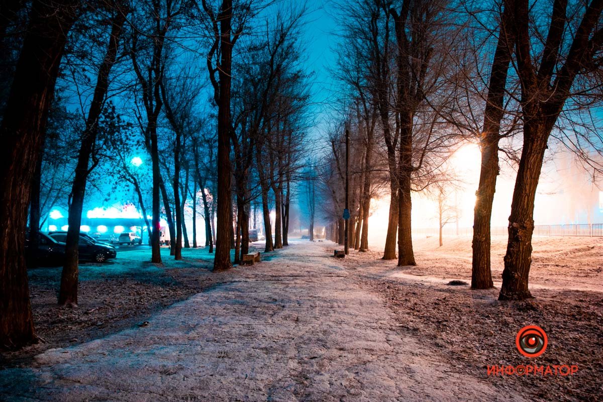 Аллея в зиму