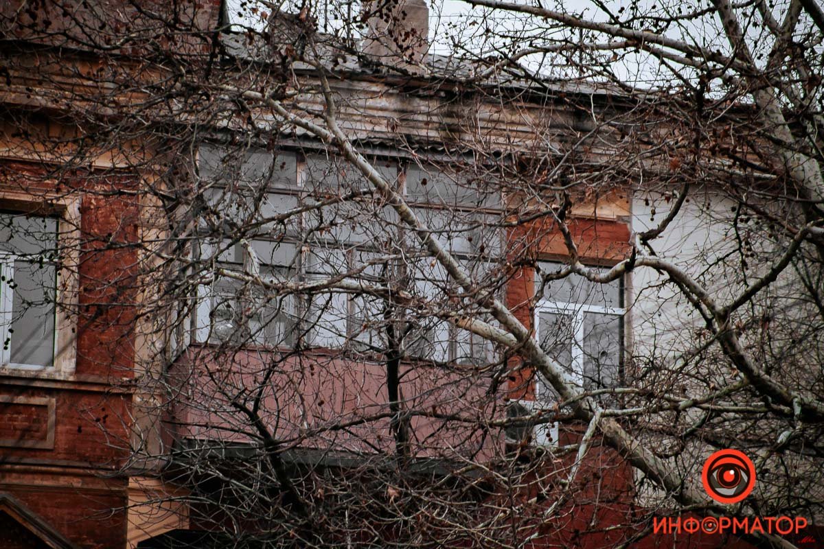 Думал, что спрячется, но наступила зима