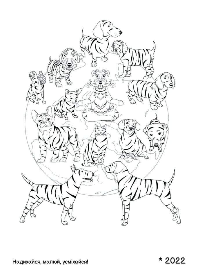 Вооружайтесь фломастерами!