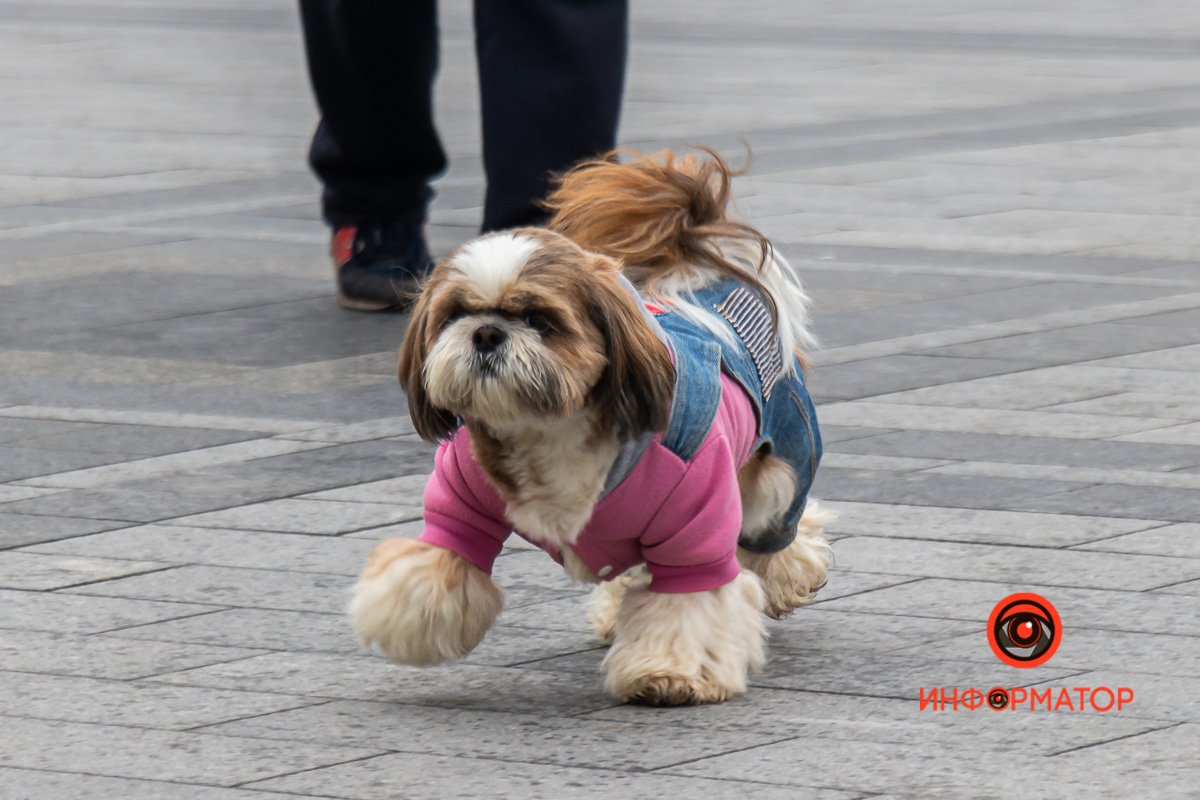 Тоже бежит Тоже бежит