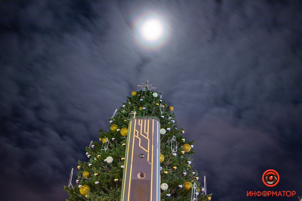 Космический хвойный корабль Космический хвойный корабль