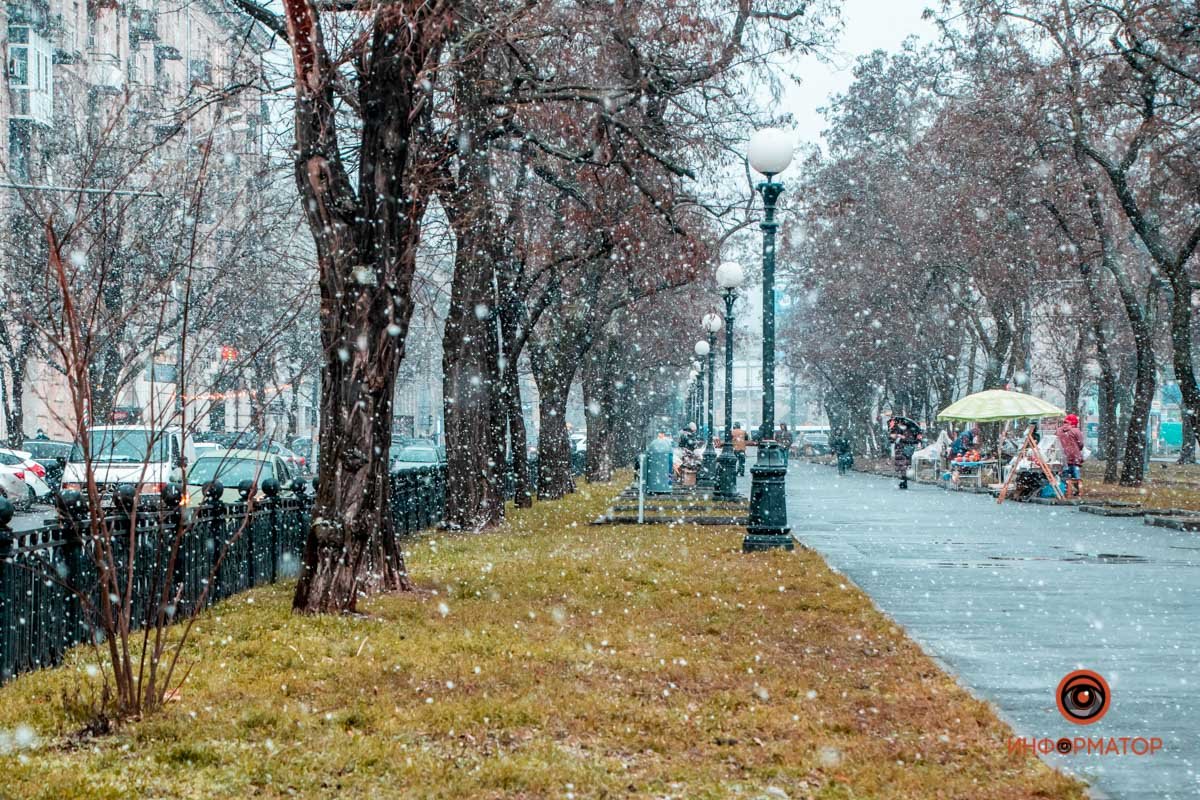 Белый и пушистый